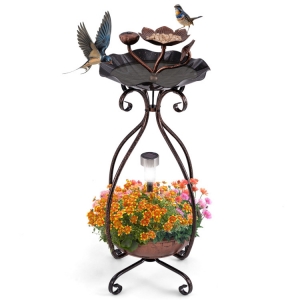 Solar Outdoor Bird Bath Feeder